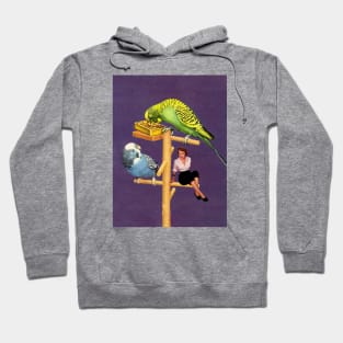 Birdie Hoodie